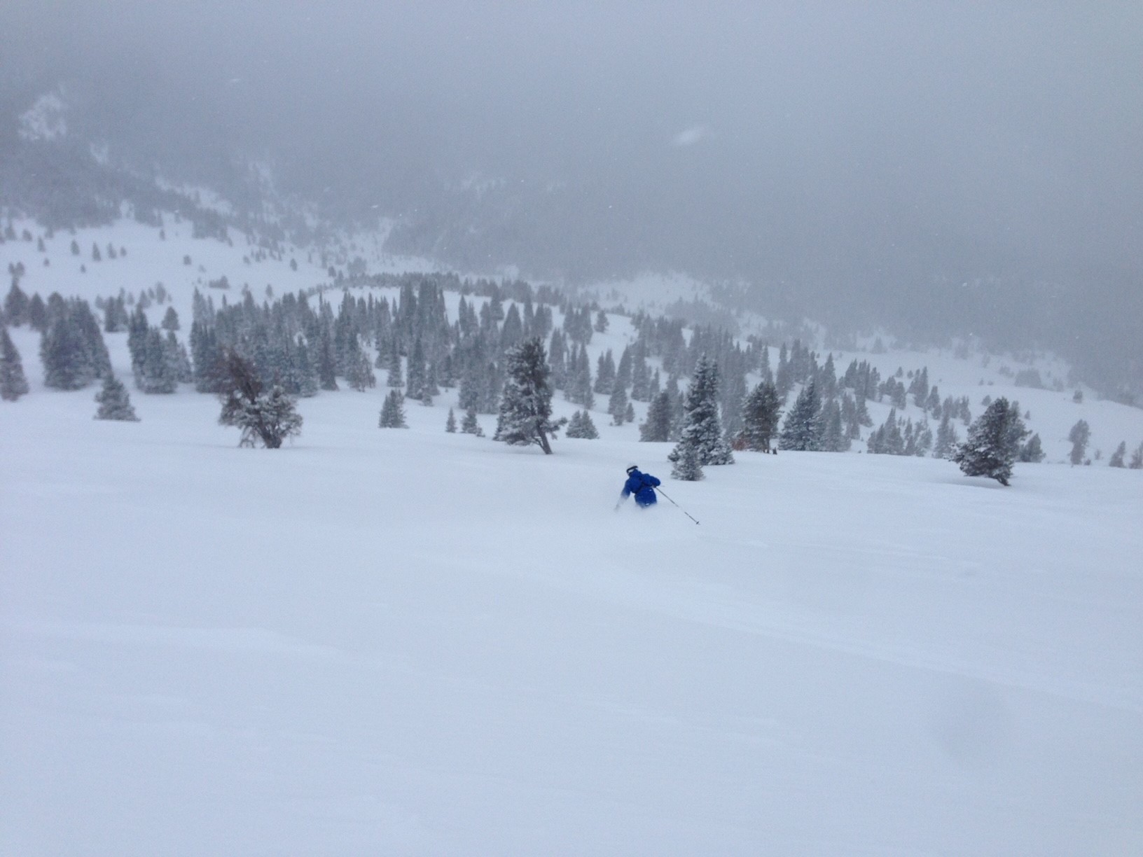 Powder day off of the Mongolia T-bar. Less inspiring terrain, but pow lasts much longer