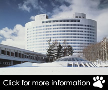 New Prince Hotel Furano | Deluxe Ski in Ski out