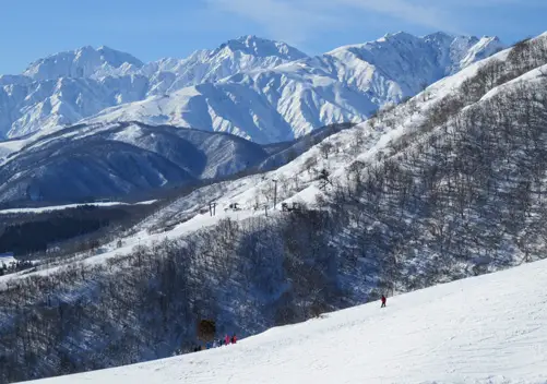 hakuba ski