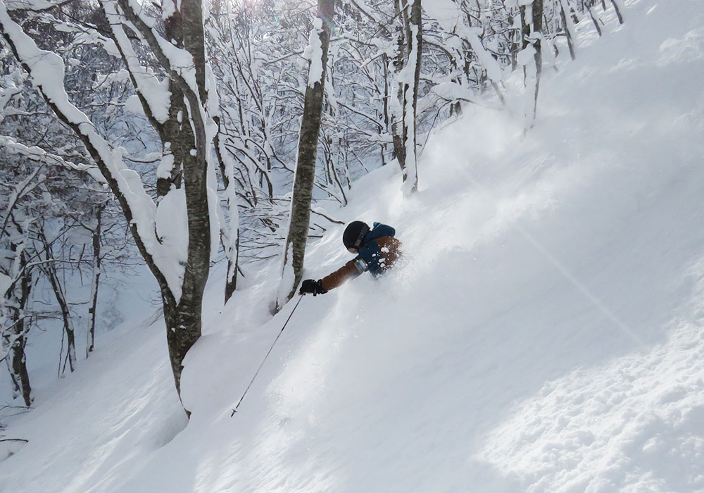 Hakuba Cortina Ski Resort Cortina Japan Review