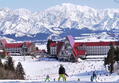 Niigata Ski Resorts | Niigata Snow, Skiing