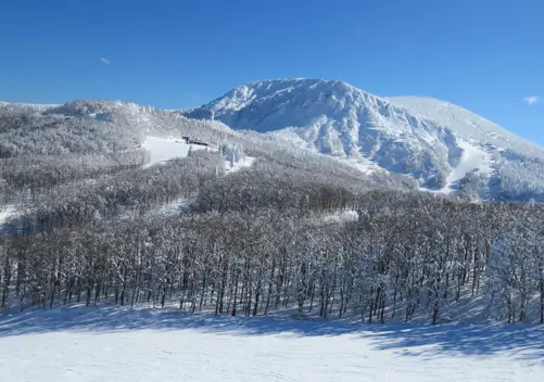 Zao Onsen Ski Resort 