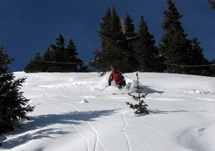 Powder Mountain Ski Tour