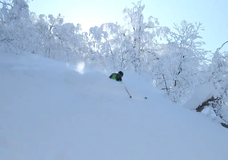 Heli Skiing Japan