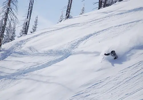 Powder Skiing in Montana