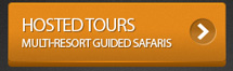 Hosted Ski & Snowboard Tours