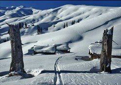 Cat Ski & Tour Bakhmaro