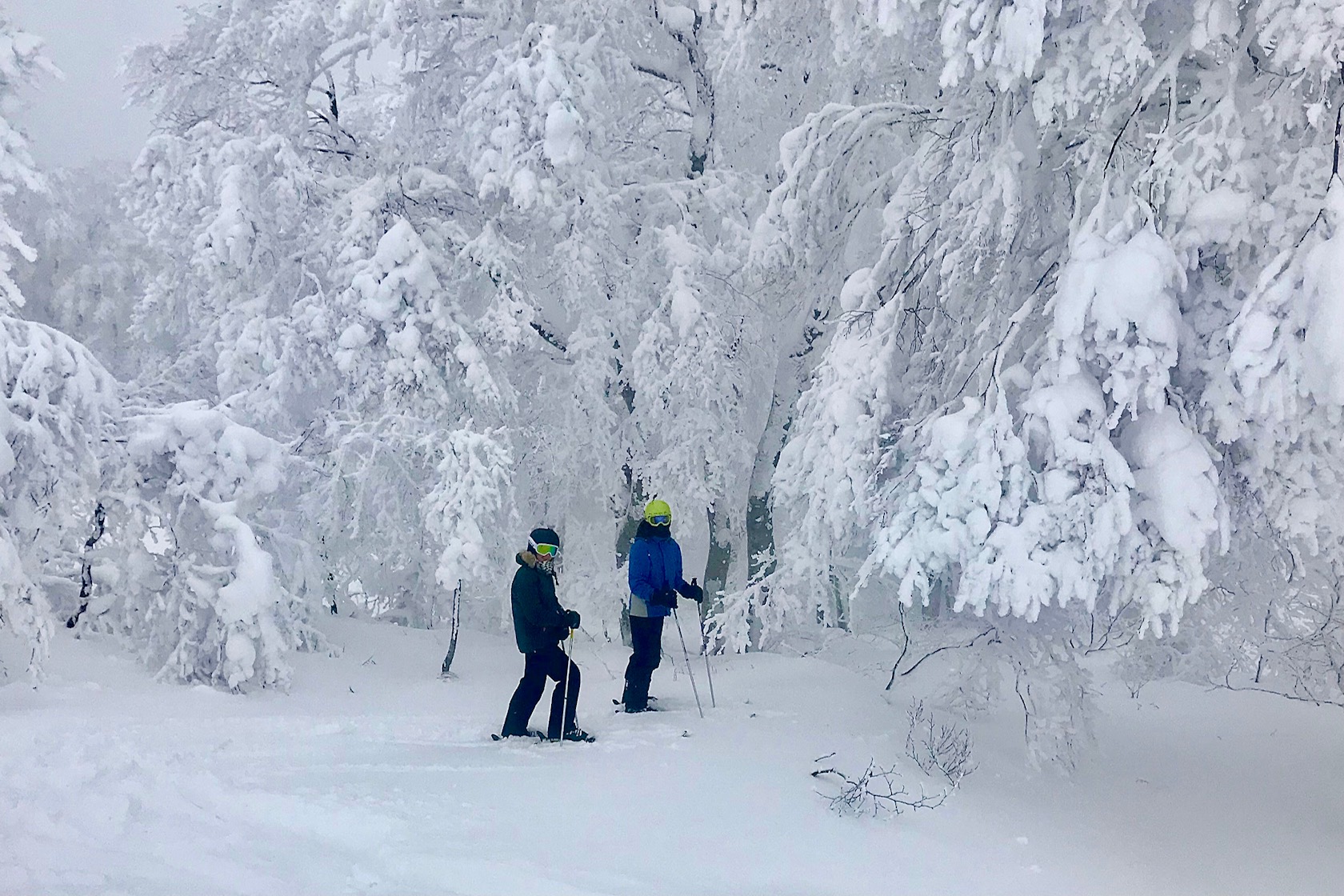 Pow at Yamabiko