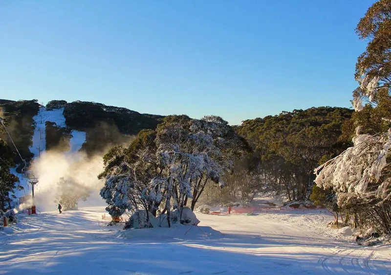 Mt Baw Baw Ski Resort Victoria Mount Baw Baw Review