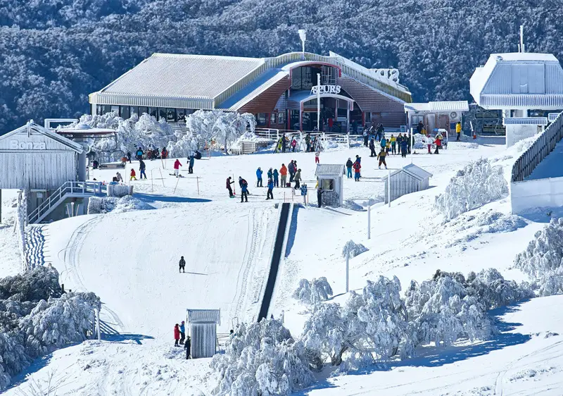 Mount Buller Snow Se … - Retha Charmane