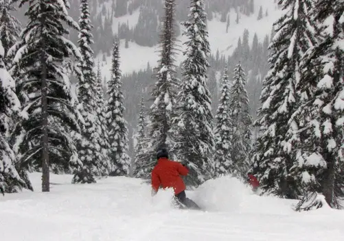 Island Lake Cat Skiing | Cat Skiing Fernie