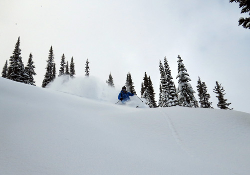 Selkirk Wilderness Skiing | Selkirk Snowcat Skiing BC Canada