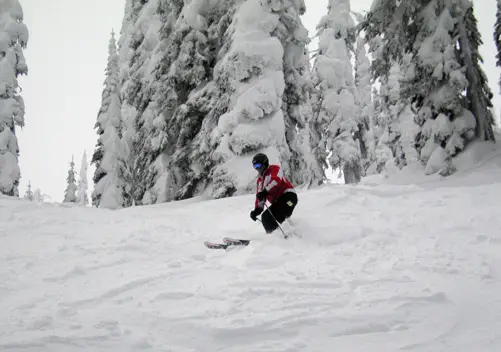 Fernie Ski Resort | Ski Fernie BC Canada Review