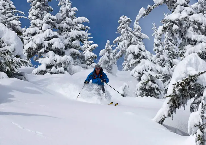 Heli-Skiing in Bella Coola, BC, Canada long sleeves men's slim fit