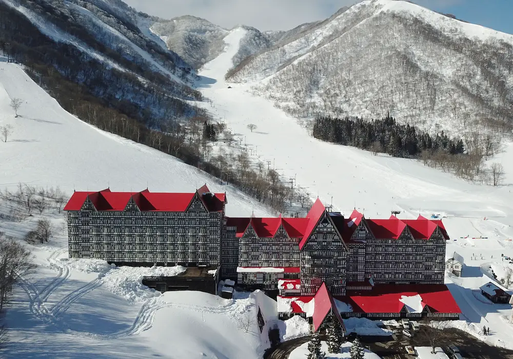 Japan Ski Resort Accommodation, Ryokan