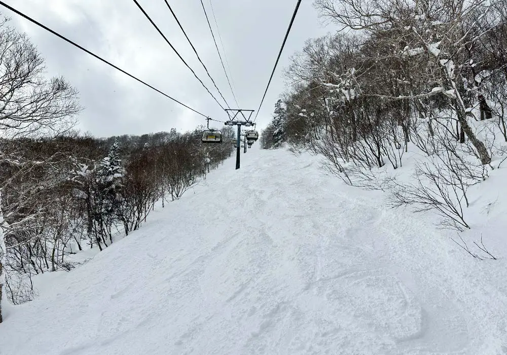 Appi Kogen Ski Resort| Appi Japan Skiing Ratings