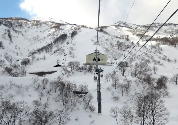 Lotte Arai Ski Resort | Snow, Ratings