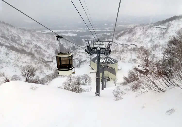 Lotte Arai Ski Resort | Snow, Ratings