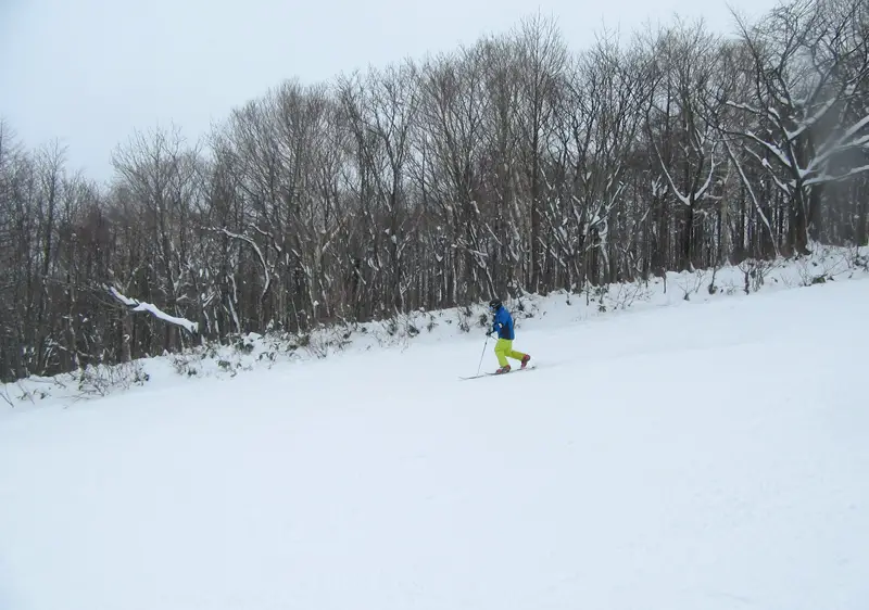 Hachimantai Panorama Ski Resort Ratings, Snow