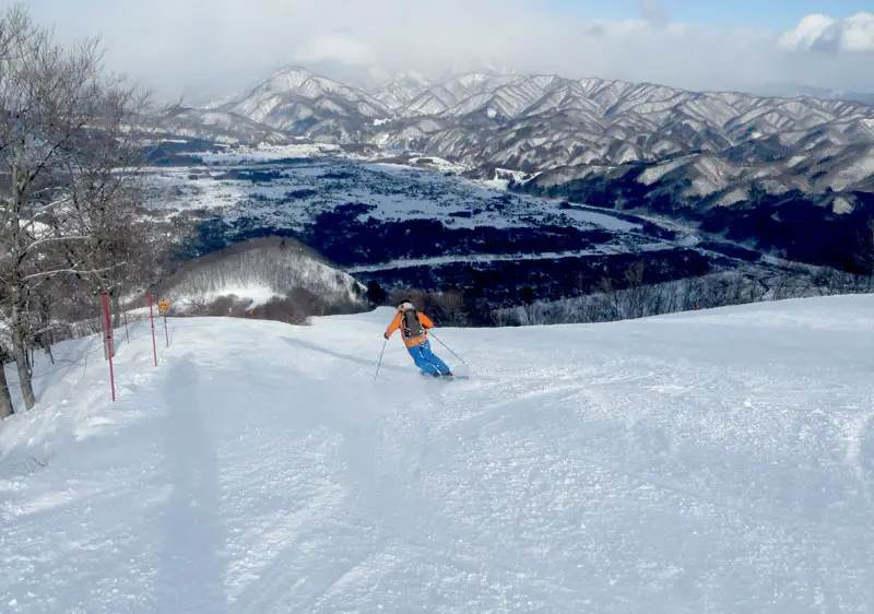 Hakuba 47 Skiing Terrain and Ratings