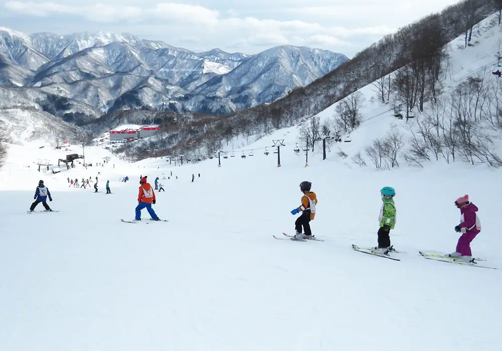 Cortina Hakuba Ski Resort Facilities, Ski Rentals