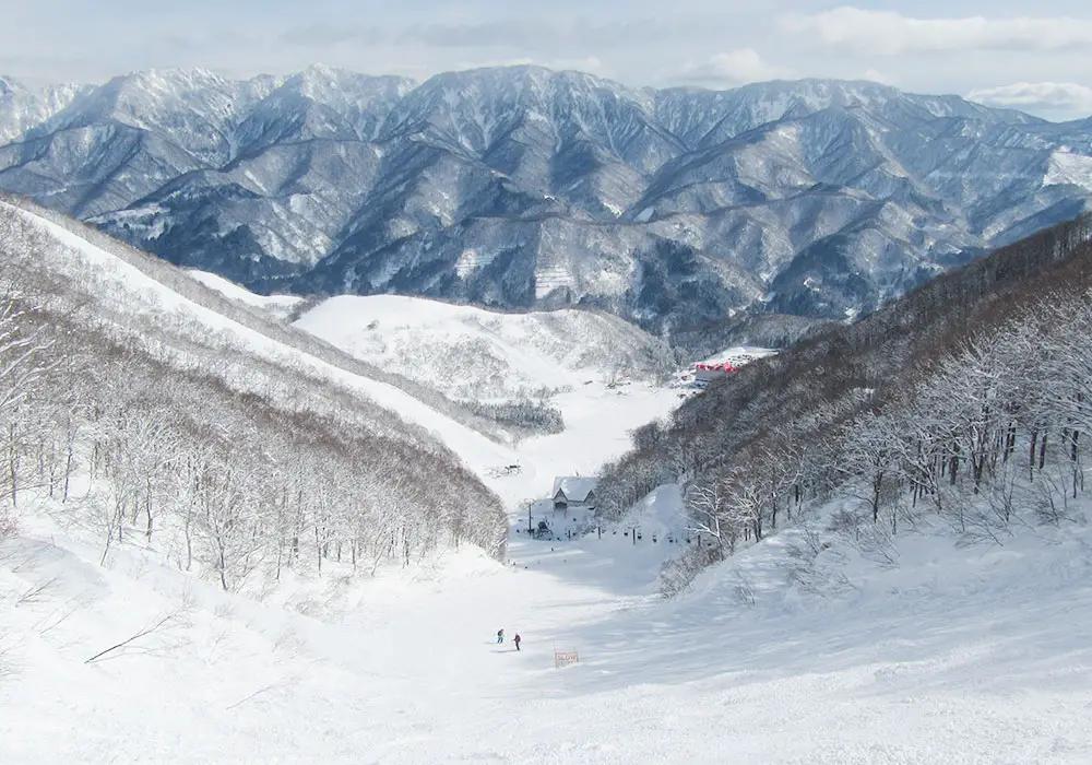 Ski Cortina Hakuba | Snow, Terrain Ratings