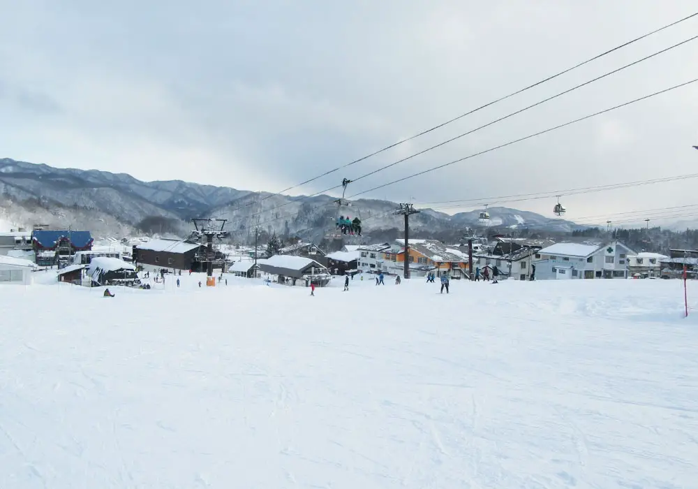 Tsugaike Kogen Ski Resort | Ratings, Snow