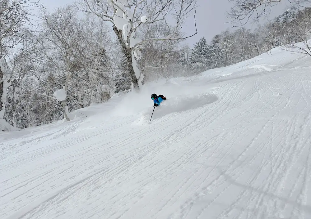 Best Time to Ski in Hokkaido for Powder is Jan & Feb