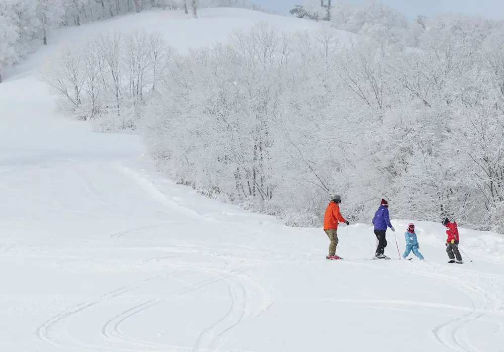 Madarao Kogen Ski Resort | Madarao Snow, Terrain Ratings