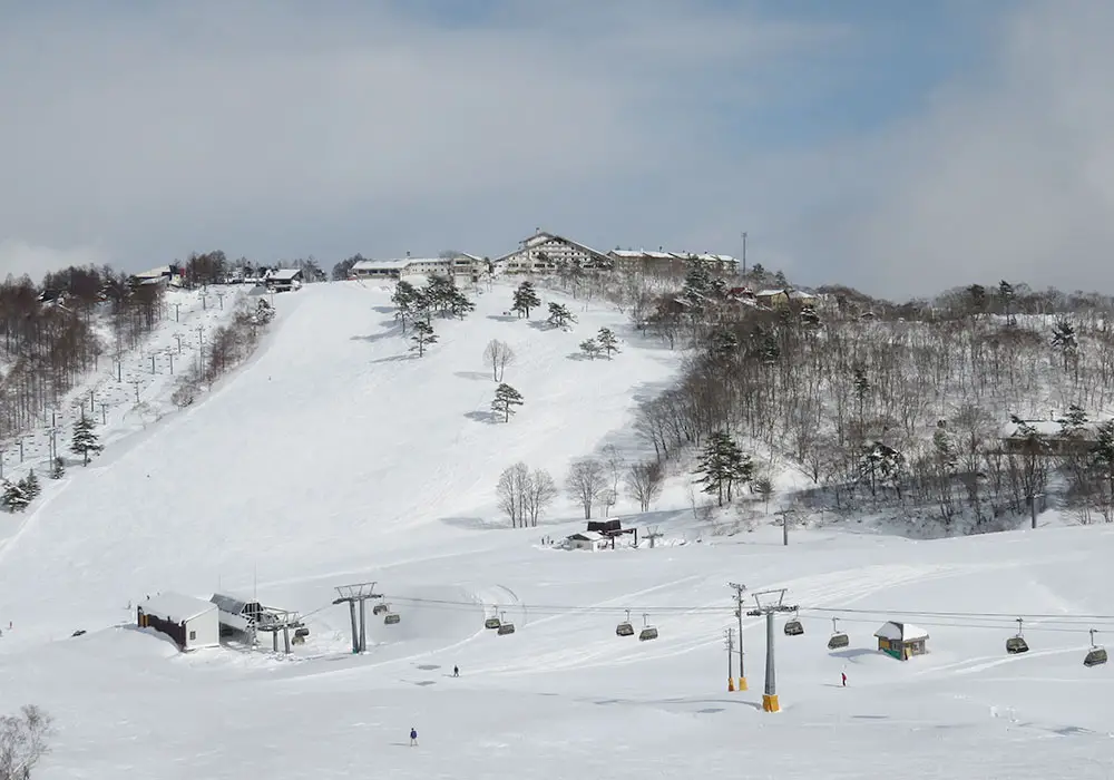 Madarao Kogen Ski Resort | Madarao Snow, Terrain Ratings