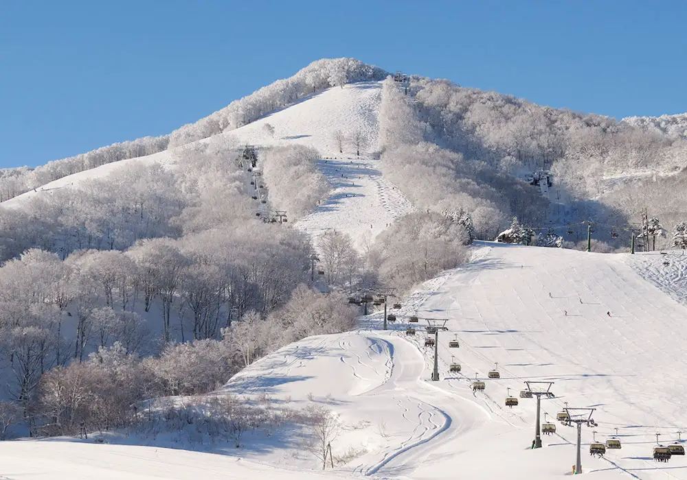 Madarao Ski Resort | Madarao Kogen Review