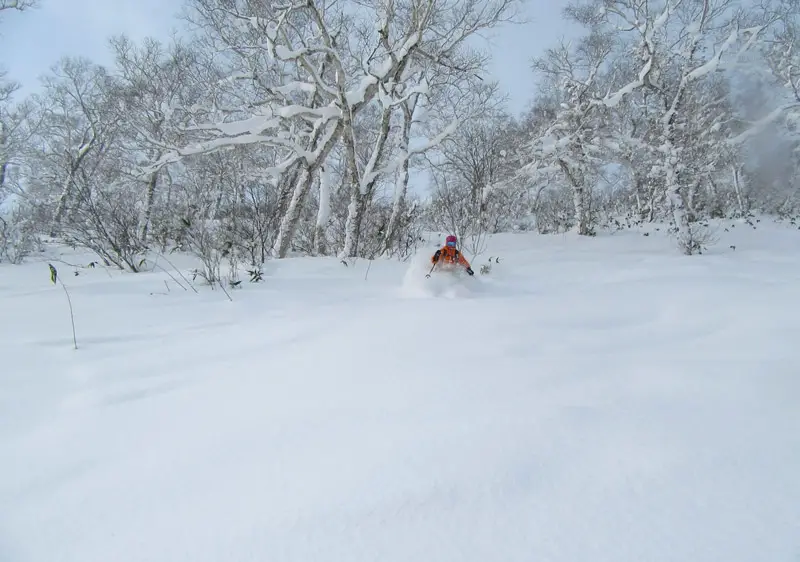 Moiwa Ski Resort Review | Niseko Moiwa Japan