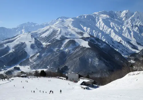 Where to Ski in Nagano? 