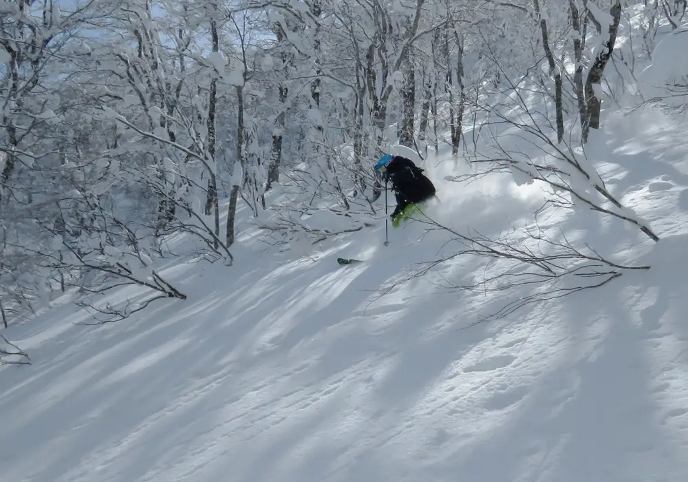 Nekoma Ski Resort | Hoshino Resorts Nekoma Mountain