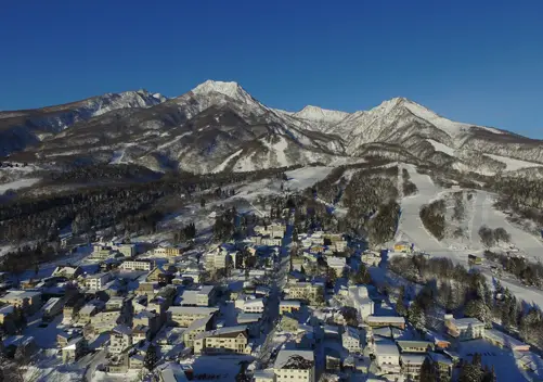 Niigata Ski Resorts | Niigata Snow, Skiing