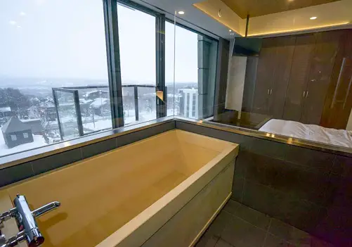 Niseko Central Nozomi Views Apartments - 