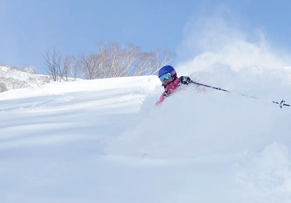 Niseko Japan | Niseko Ski Resort