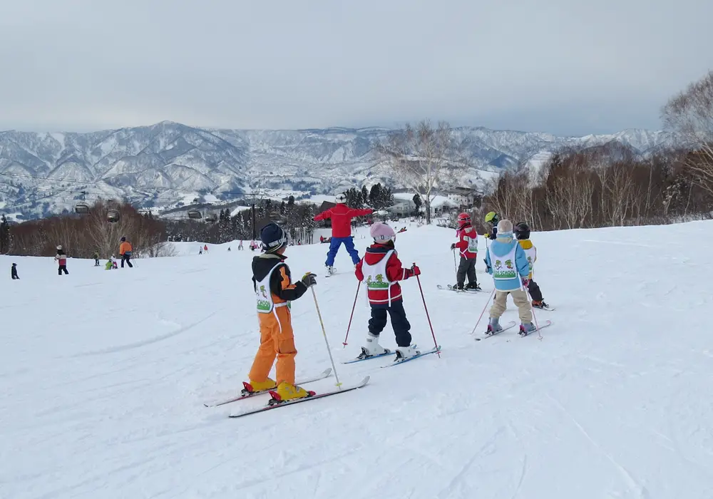 Nozawa Onsen Snow Resort | Nozawa Ski Resort Ratings