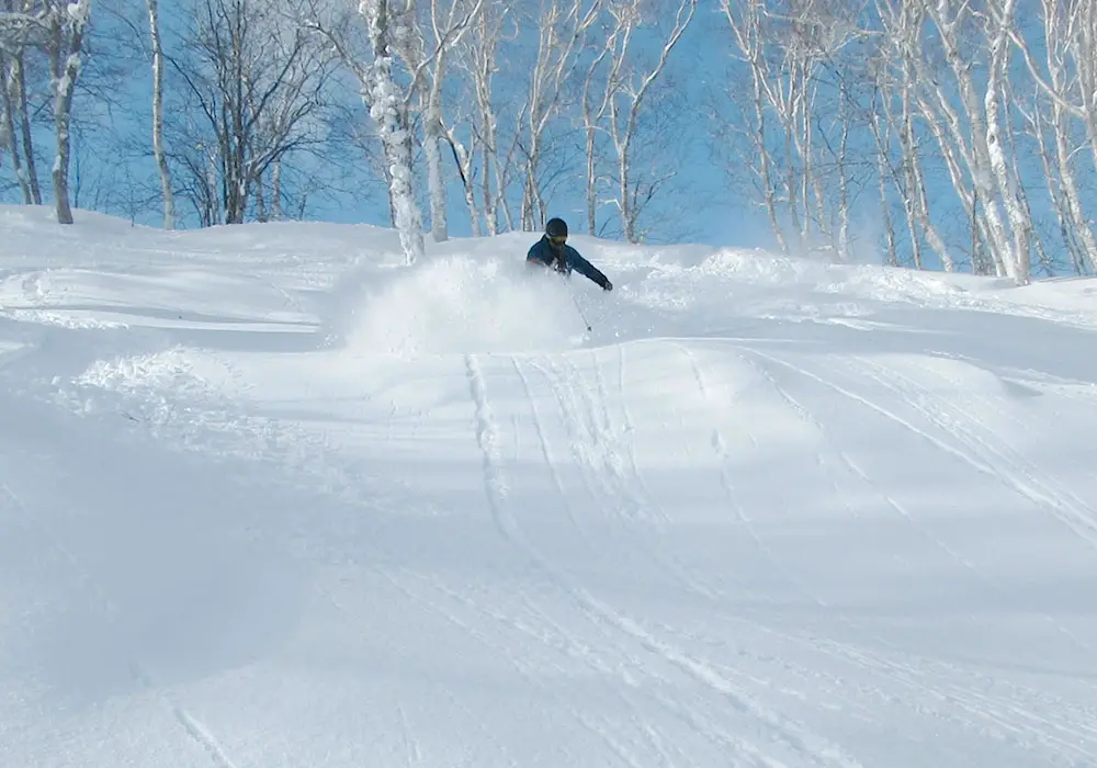 Ski Rusutsu Japan | Rusutsu Snow, Skiing Ratings