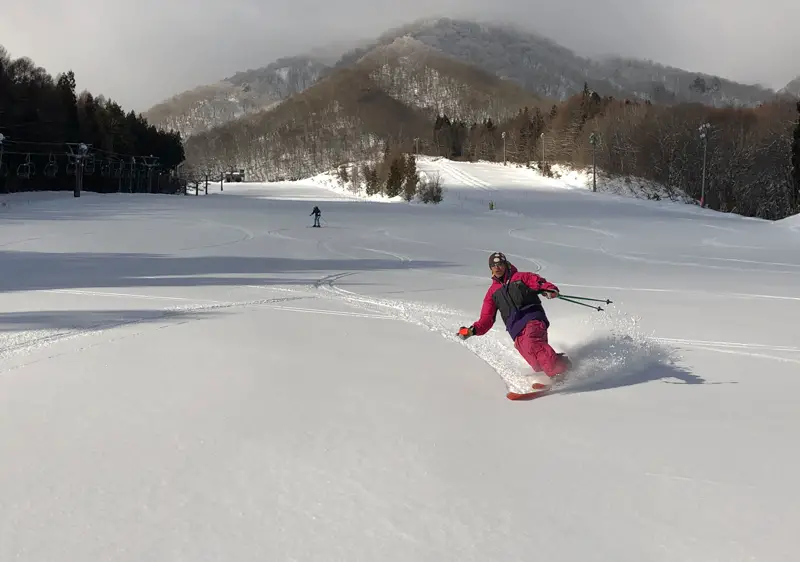 Hakuba Sanosaka 60cm / Overcast, SKI REPORT