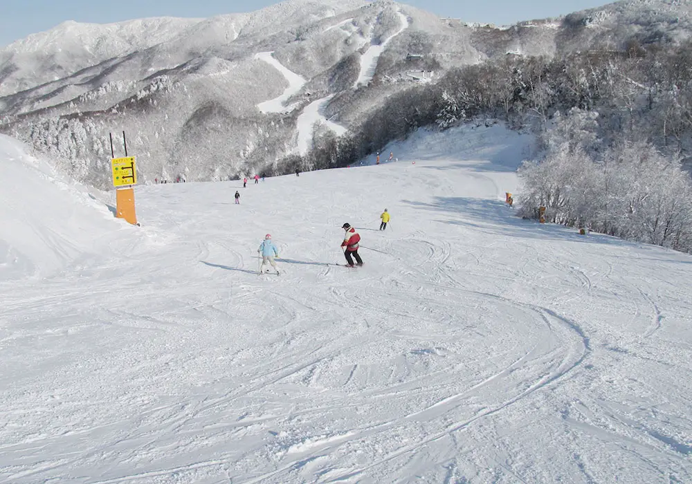 Shiga Kogen Ski Area | Snow, Skiing, Ratings