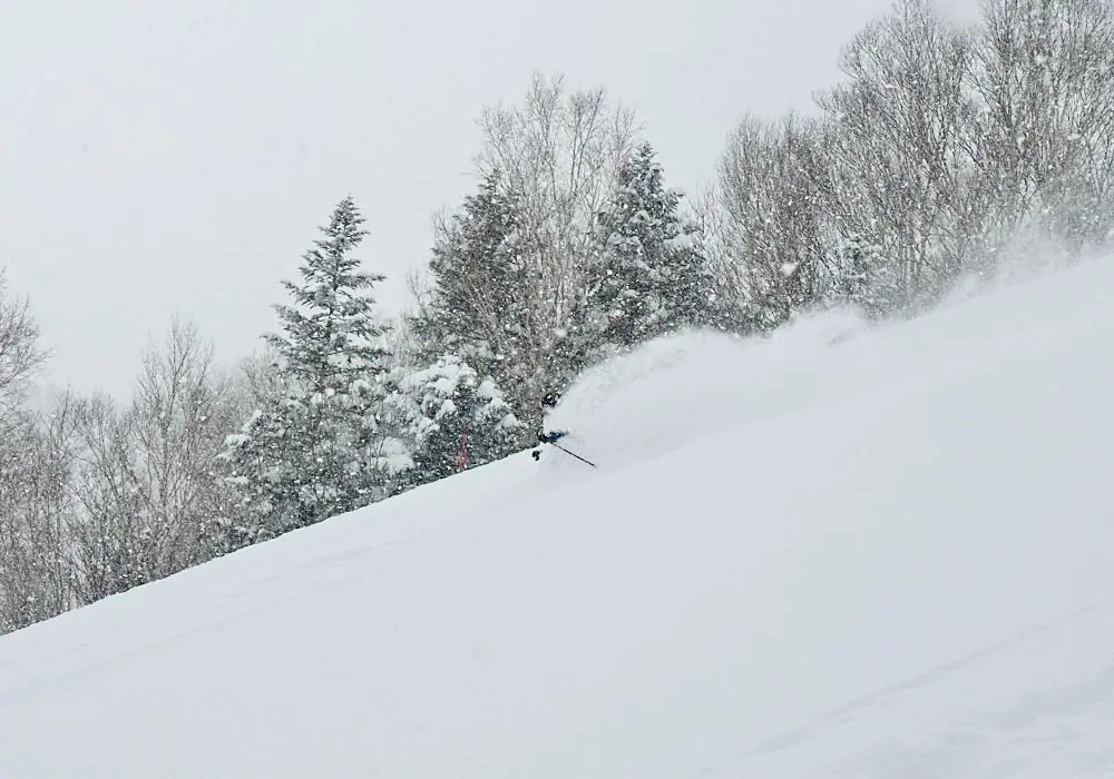 Shiga Kogen Ski Area 