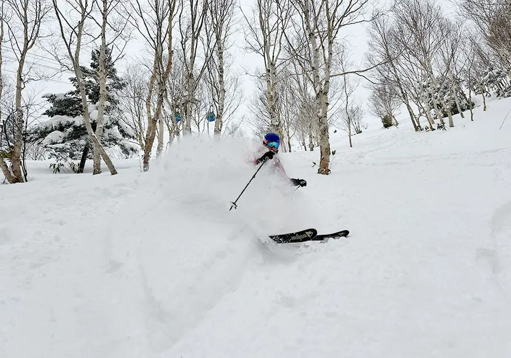 Shiga Kogen Ski Area | Snow, Skiing, Ratings