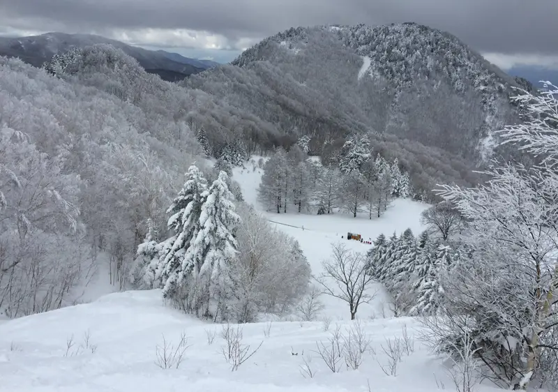 Yamaboku Ski Resort Nagano | Yamaboku Wild Snow Park