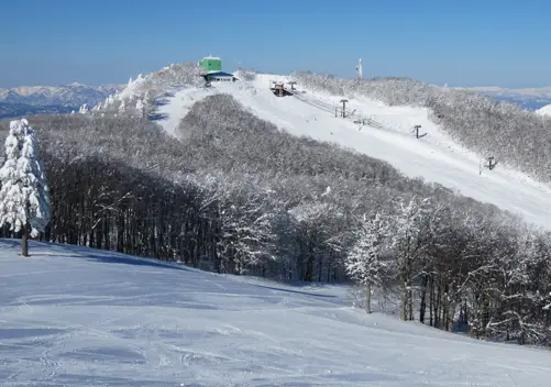 Zao Onsen Ski Resort | Ski Zao Japan Ratings | Snow