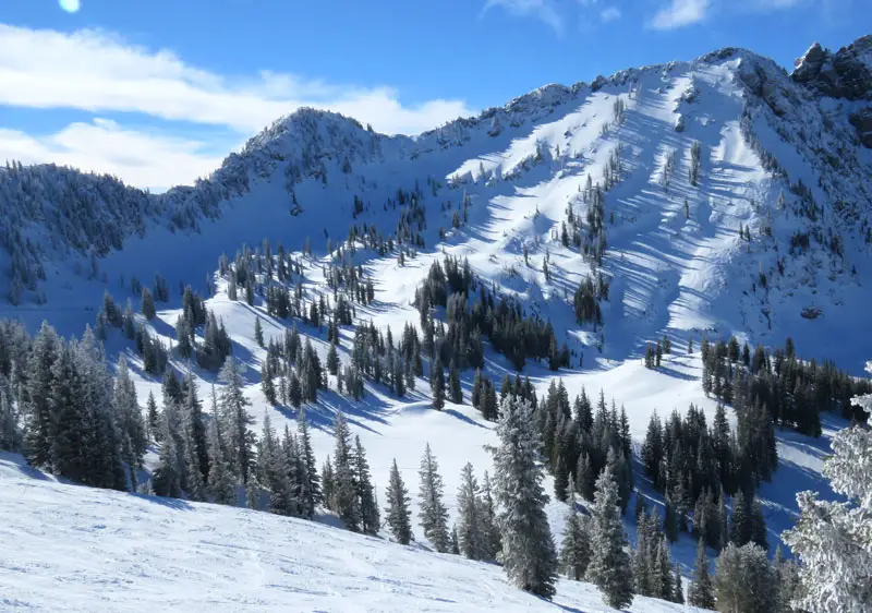 Alta Ski Resort Reviews | Alta Utah