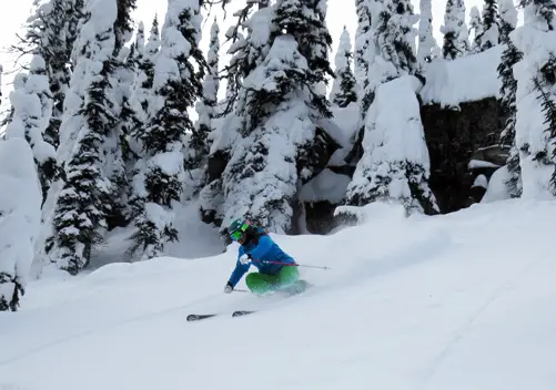Great Northern Powder Guides | Cat Skiing Montana