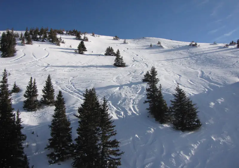 Silverton Ski Area | Silverton Ski Resort Terrain Ratings