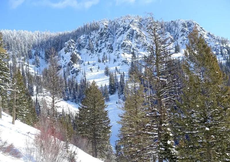 Montana Snowbowl Ski Resort Review