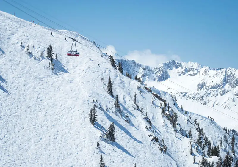 Ski Snowbird Resort | Snowbird Skiing Terrain Ratings